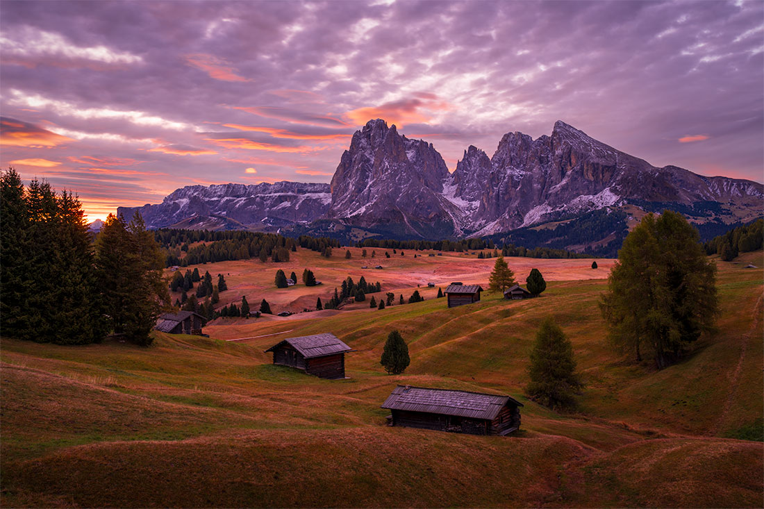 Blue-hour sunrise over Alpe di Siusi with fall tones, alpine huts, and the Sciliar peaks in the Dolomites