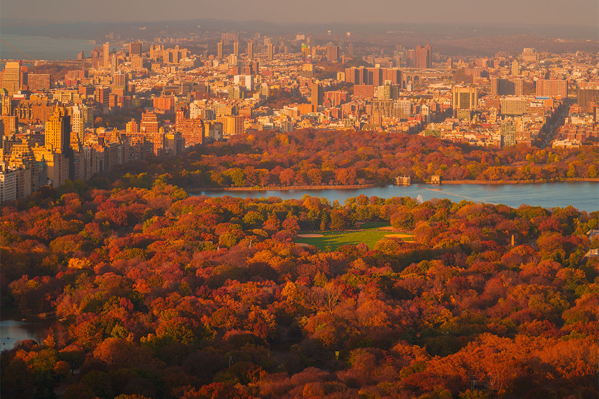 Autumn foliage across Central Park with the Manhattan skyline in the background